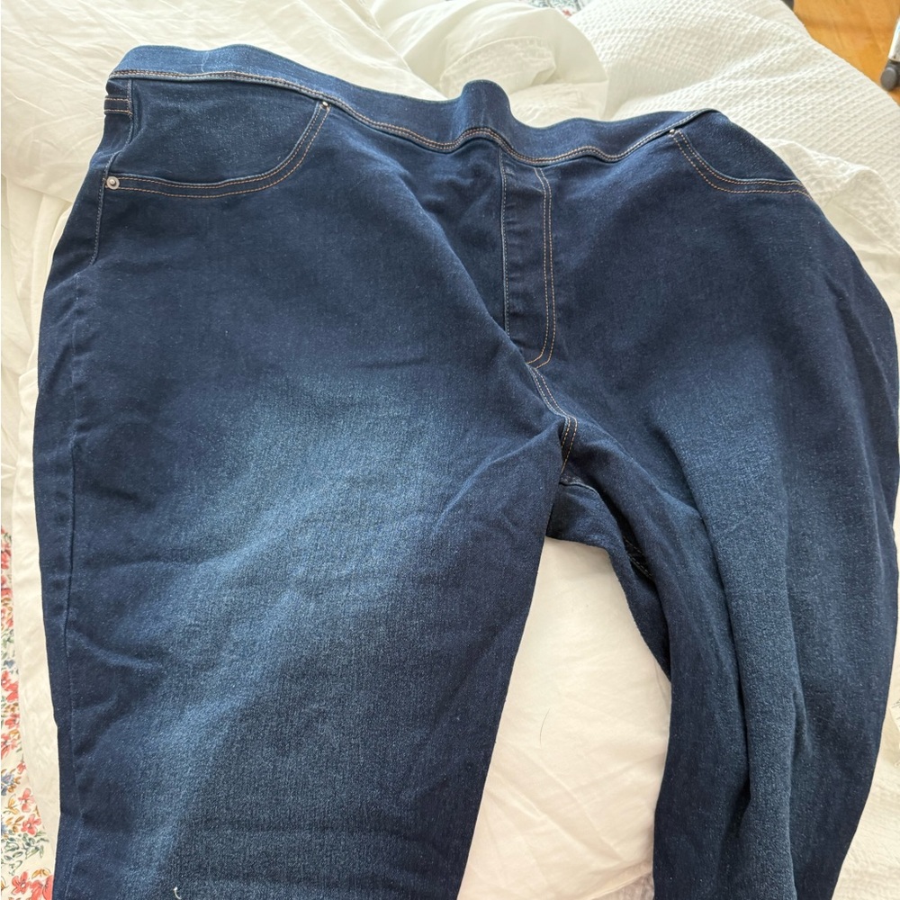 Terra and sky women’s jeggings 3x